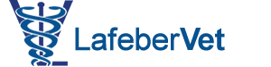 Email Image