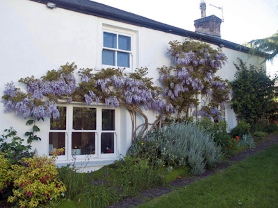 Home exchange in Devon
