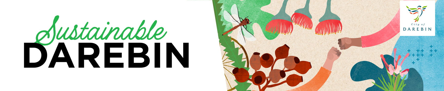 Logo text reads Sustainable Darebin with a graphic image of gum nuts and eucalyptus flowers. Two hands are fist bumping, signaling connection and working together