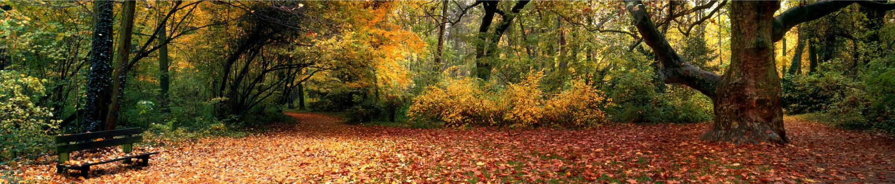 toby.ellis@eftraining.co.uk