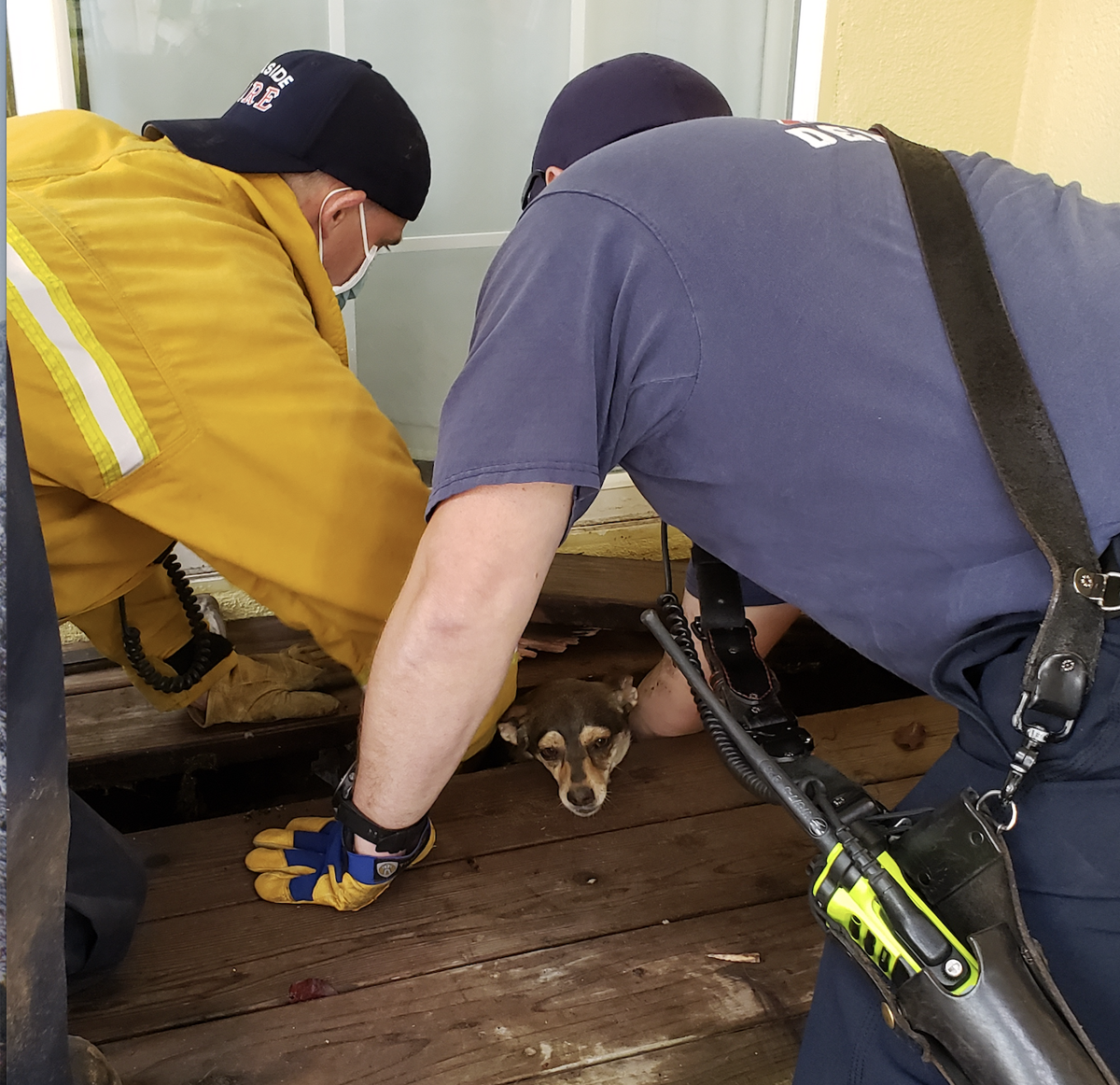 "Gone Fishing" by Grace Russell