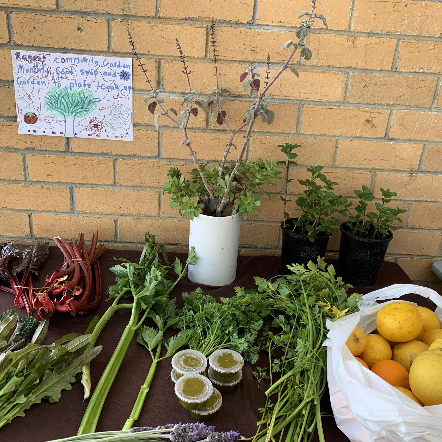 Image of celery, mint, rhubarb, parsley, lavendar and lemons on a table