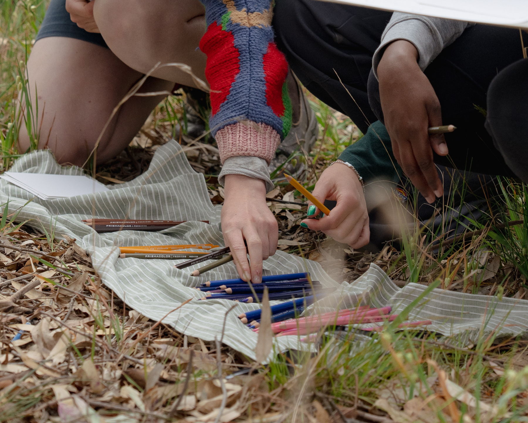 Image of nature drawing event