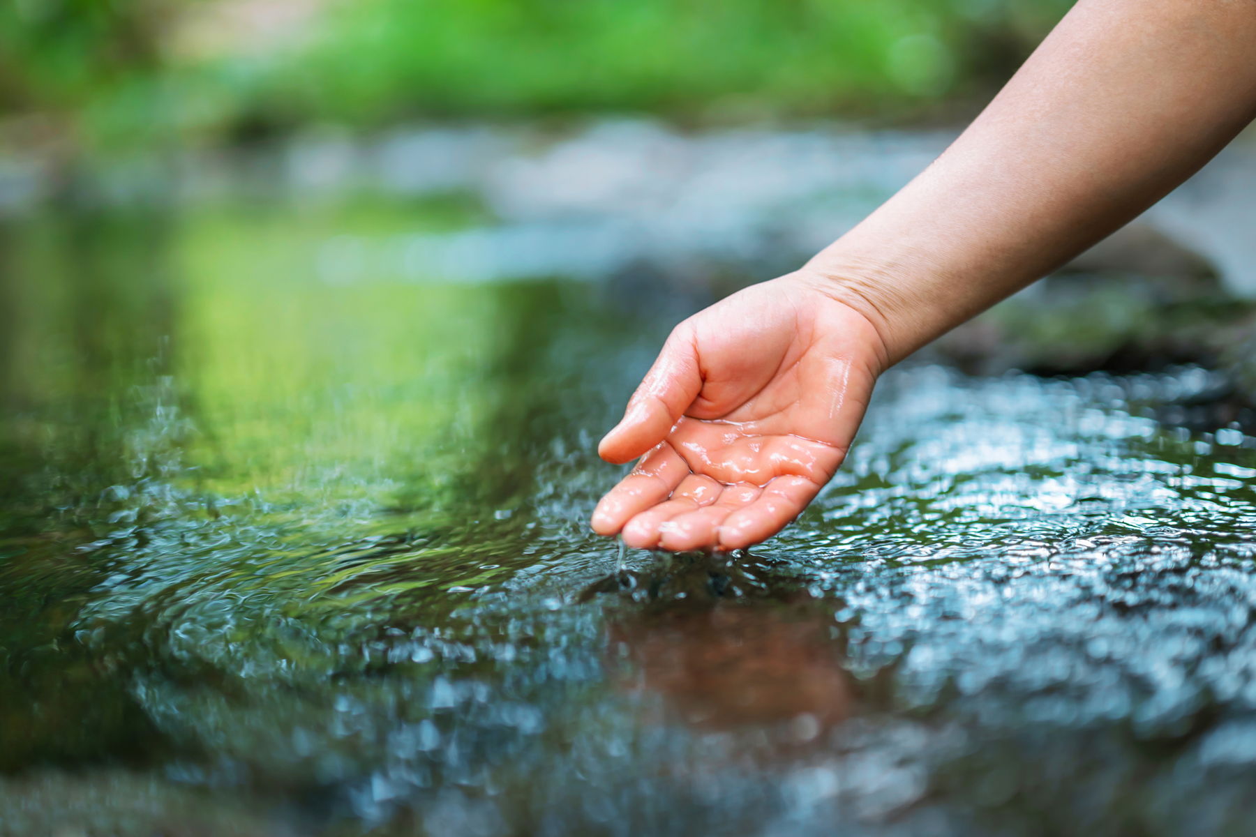 Hand gently touching water in a creek