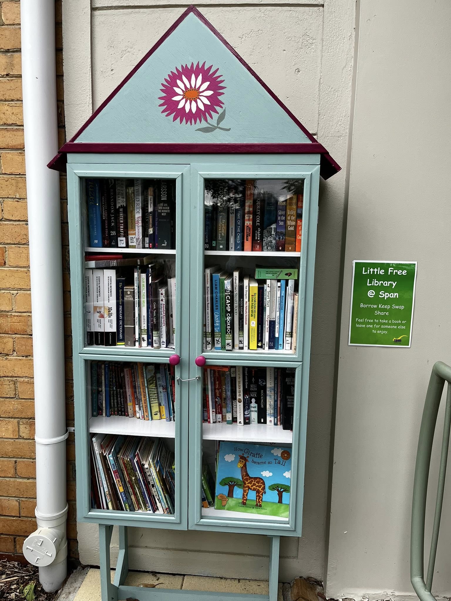 Photo of the SPAN street library - a painted blue and pink cabinet full of all kinds of books