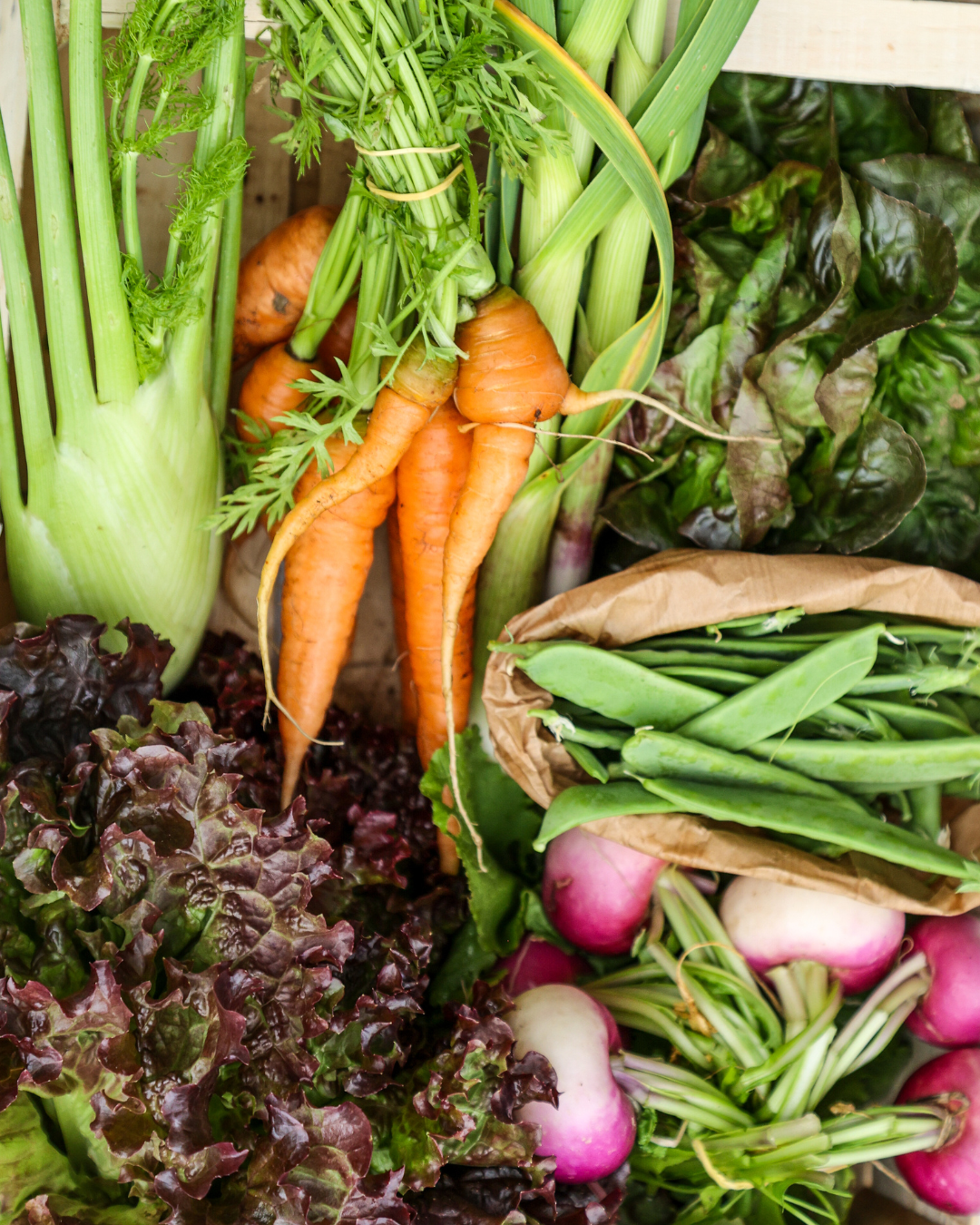 winter garden produce