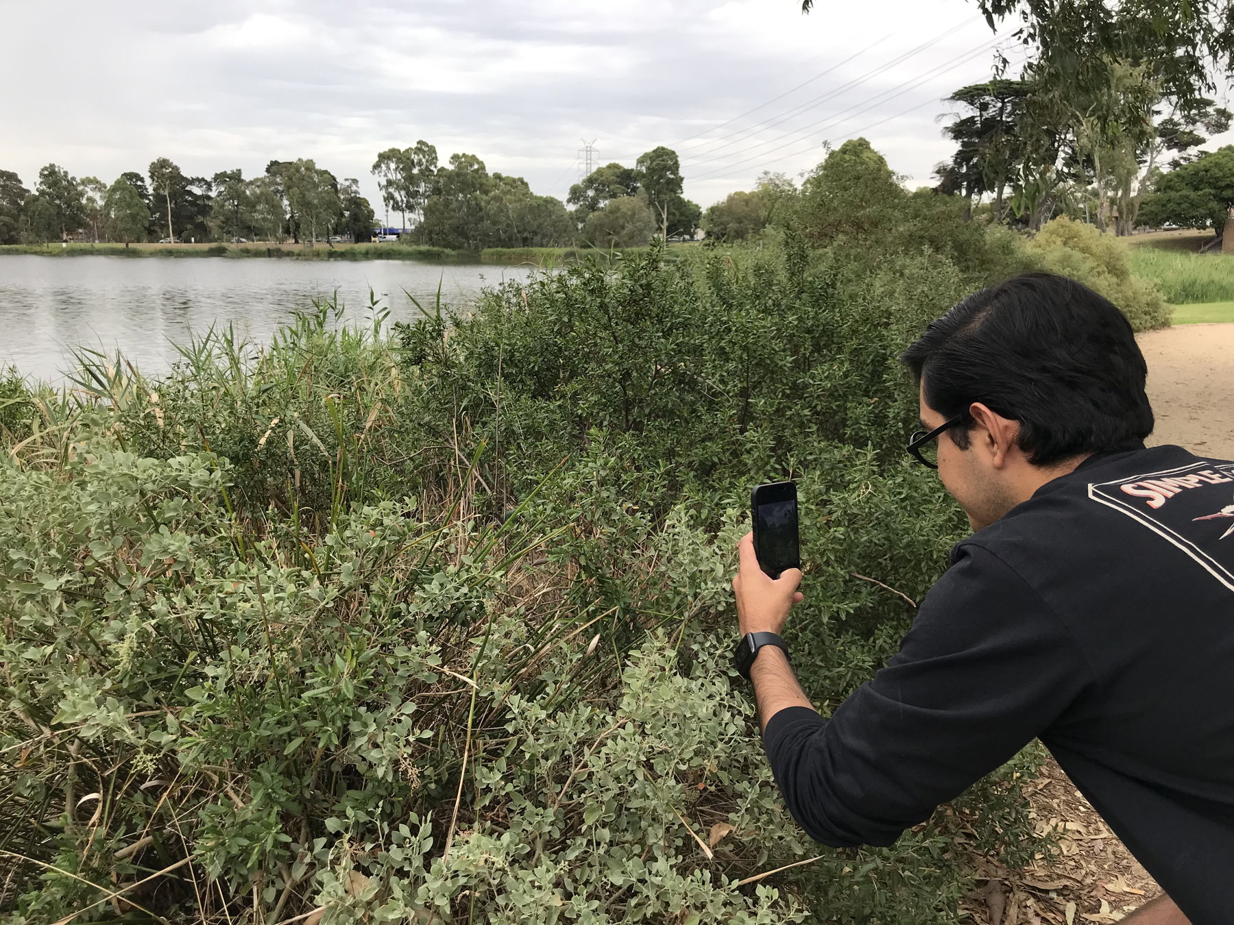 Person taking a photo of plants with a lake in the background