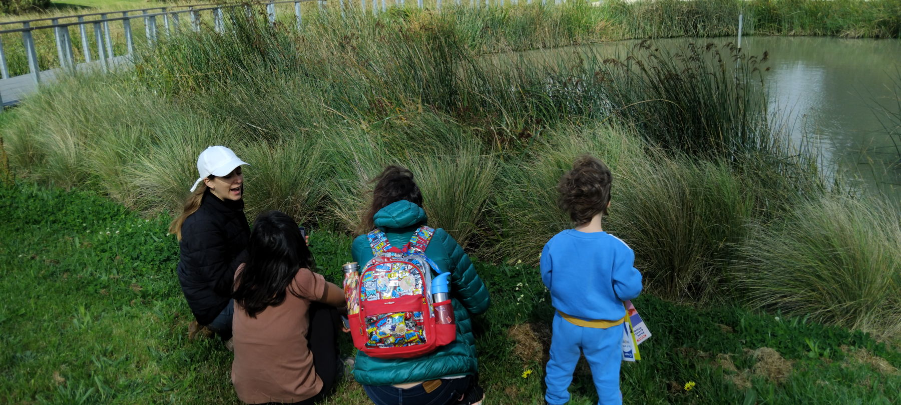 Picture of 3 adults and a child looking at a grassland