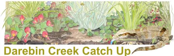 Image of a garden wit flowers and plants and a Blue-Tongue lizard with the words 'Darebin Creek Catch Up'