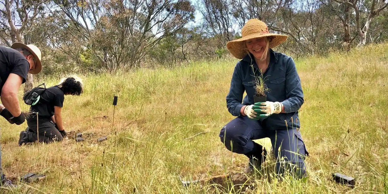 Person holding a seedling while standing in a grassland
