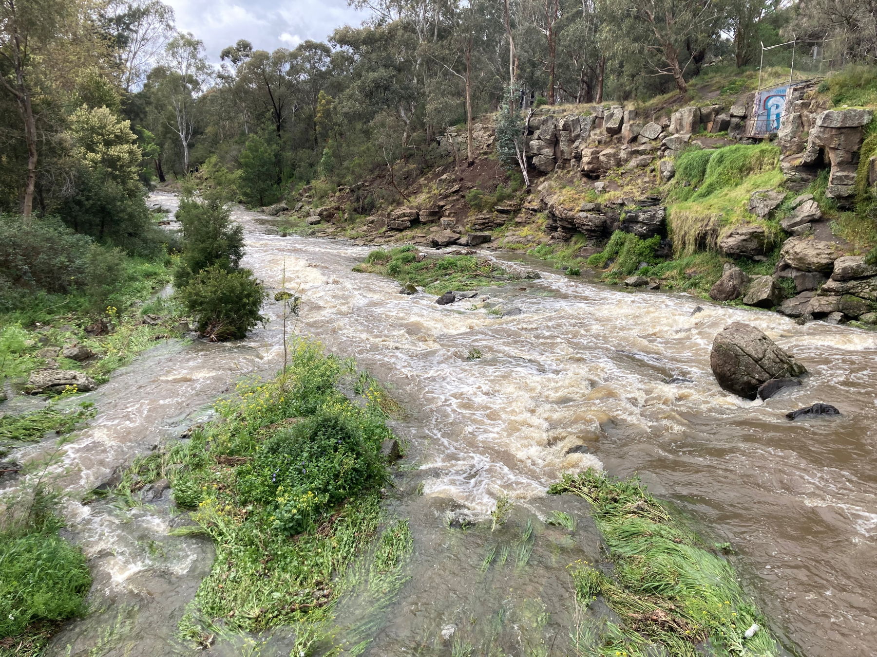 Darebin Creek in Darebin Parklands