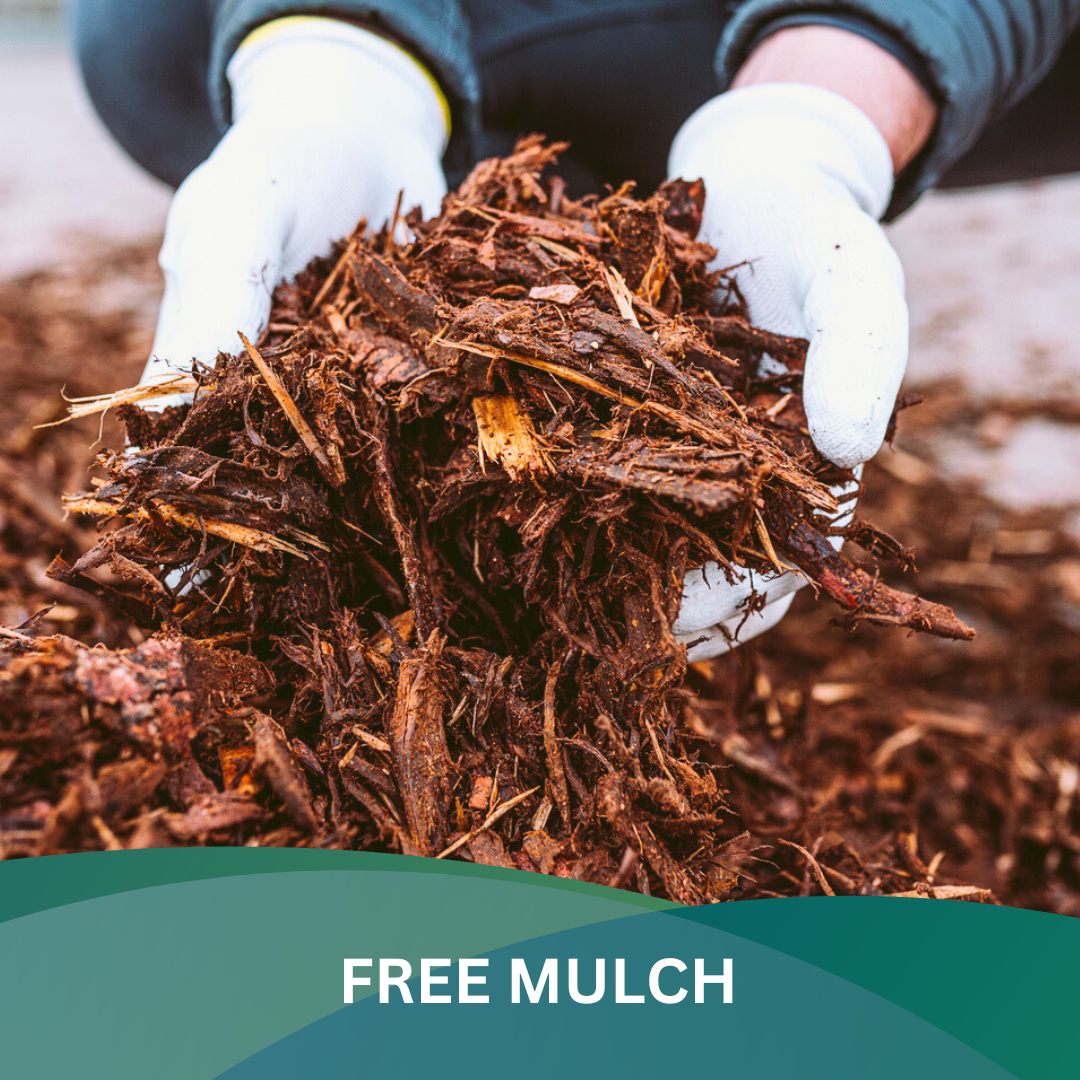 image of mulch