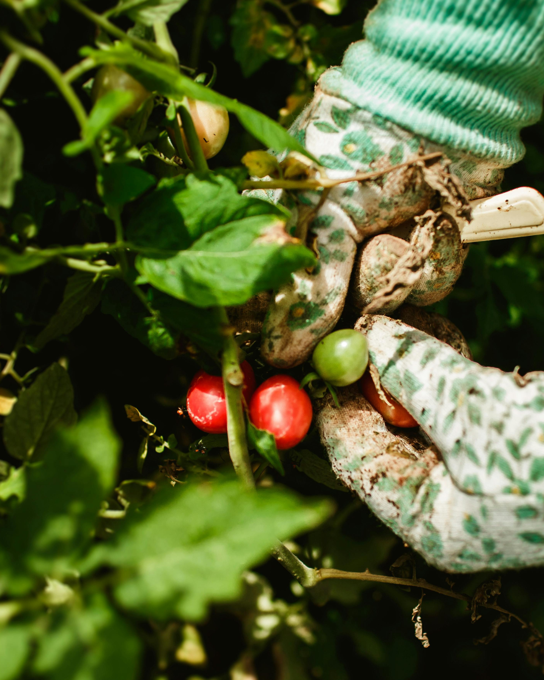 Two people on bikes looking happy and high fiving