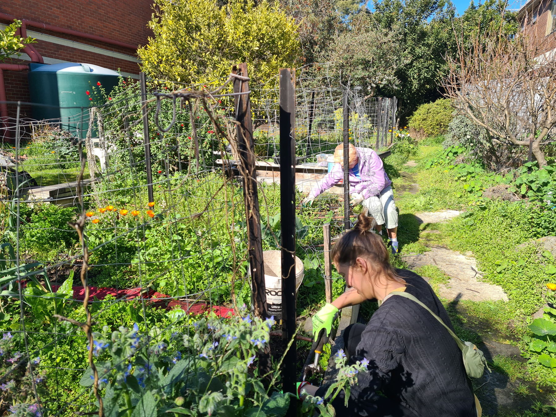 Garden working bee at NLFG