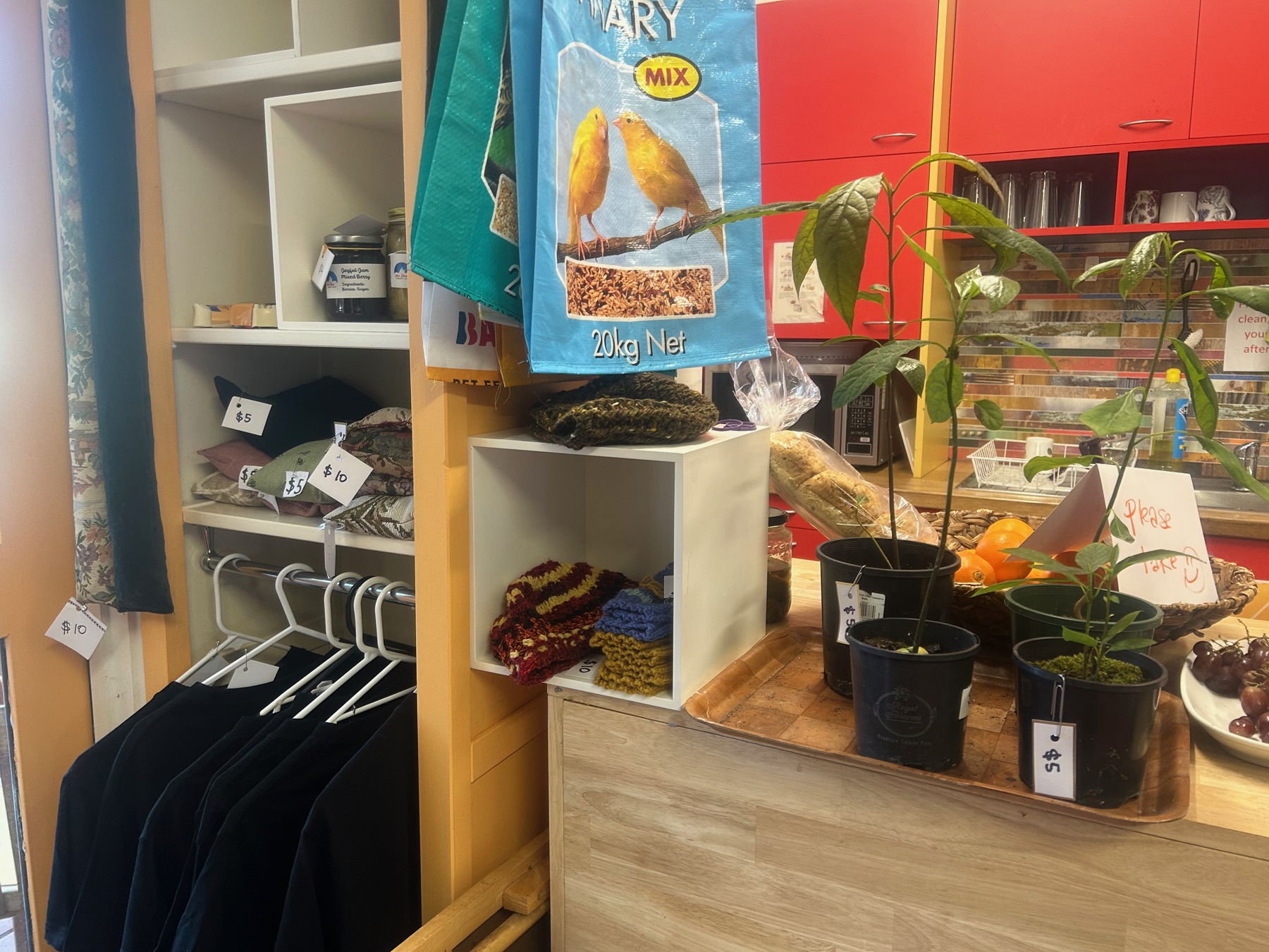 Person planting seedlings in a garden bed.