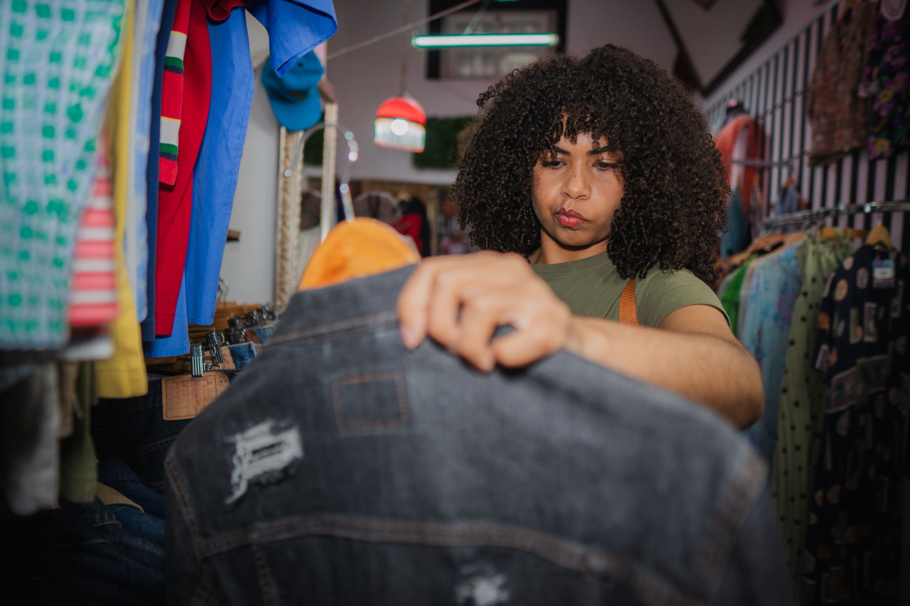 Blue bird sitting on a stick