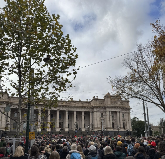 people at the steps of Parilament at the Walk for Truth