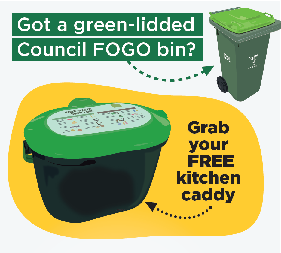 Free kitchen caddy at libraries